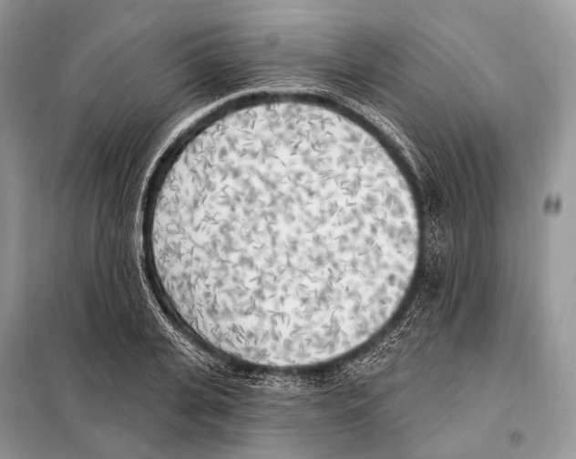 X0000098110935200805021129