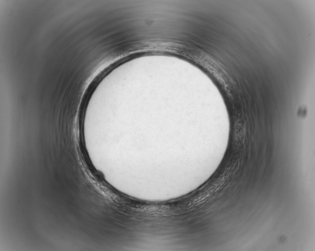 X0000098110936200805021129