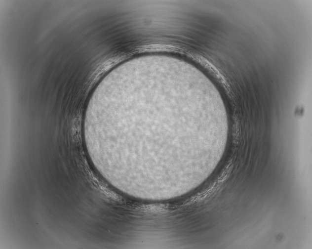 X0000098110937200805021129