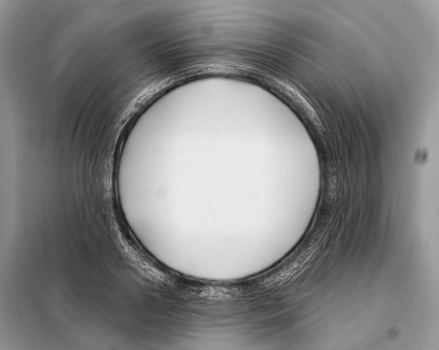 X0000098110938200805021129