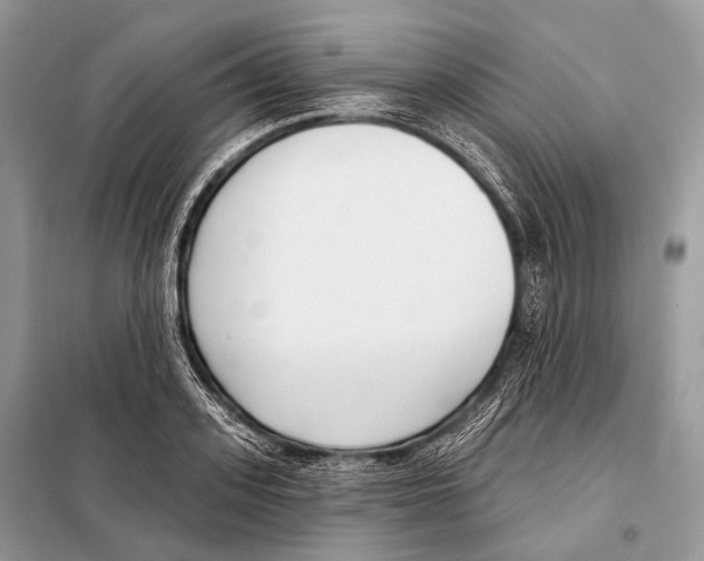 X0000098110939200805021129