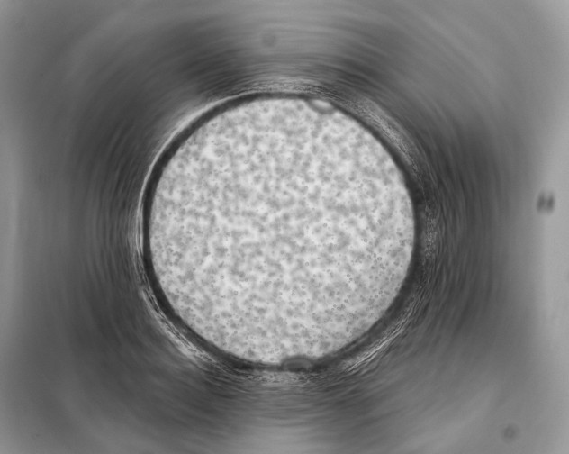 X0000098110940200805021129