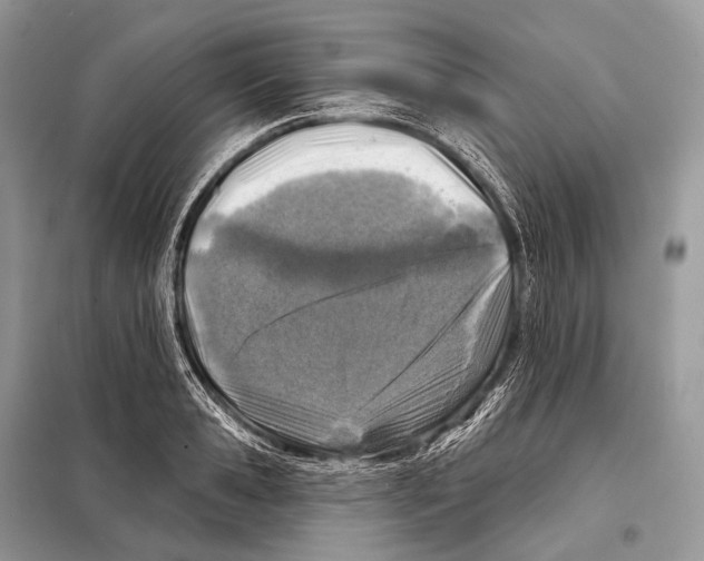 X0000098110941200805021130