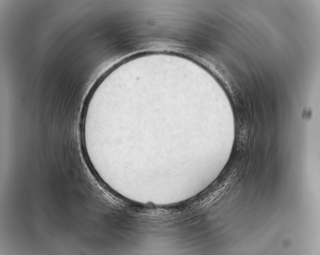 X0000098110943200805021130