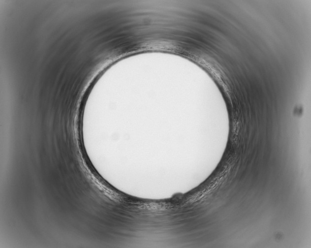 X0000098110947200805021130