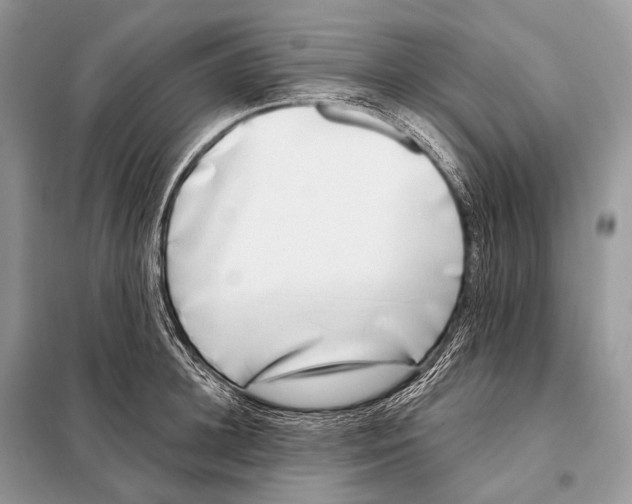 X0000098110948200805021130