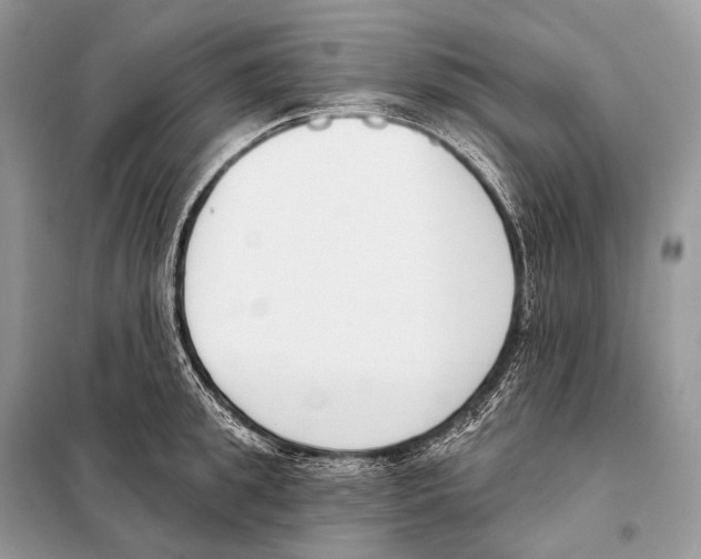 X0000098110949200805021130