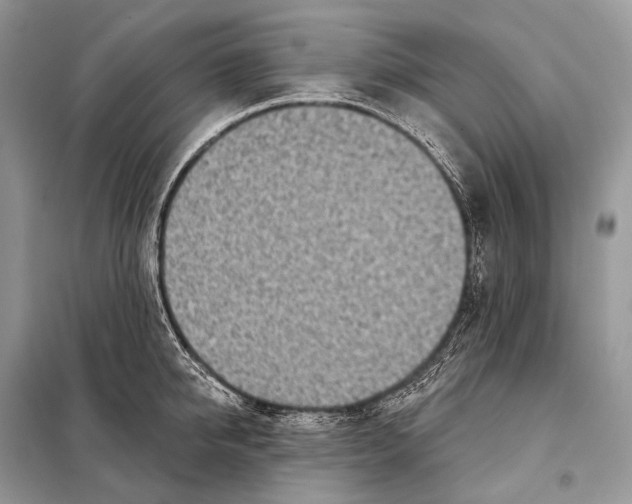 X0000098110950200805021130