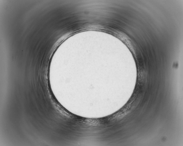 X0000098110954200805021130