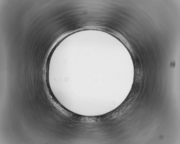 X0000098110955200805021130