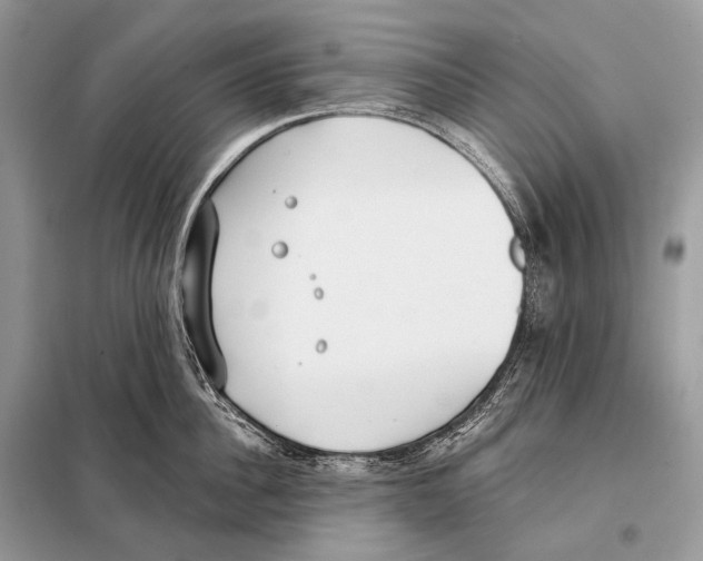 X0000098110956200805021130