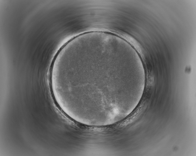 X0000098110958200805021130