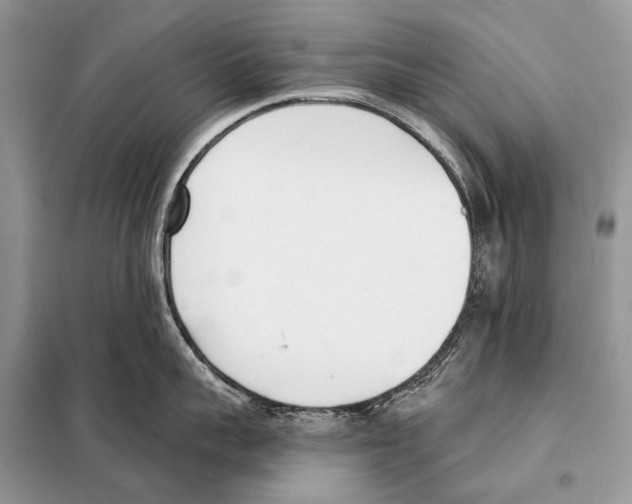 X0000098110959200805021130