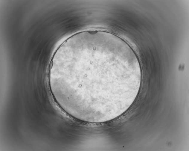 X0000098110960200805021130