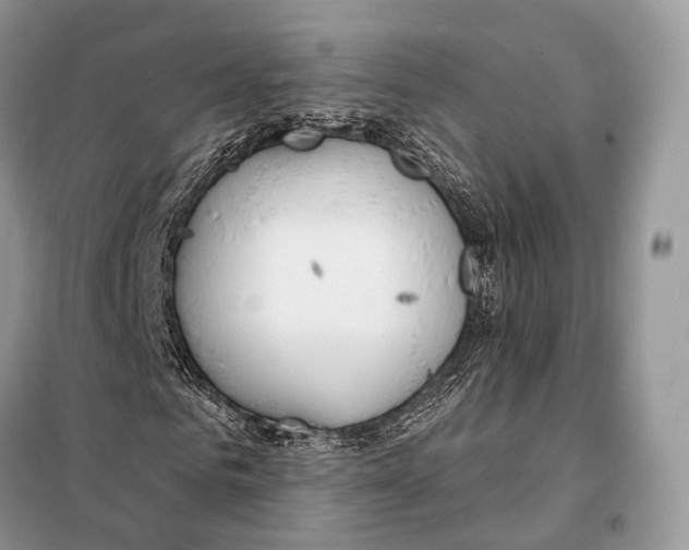 X0000098110961200805021129