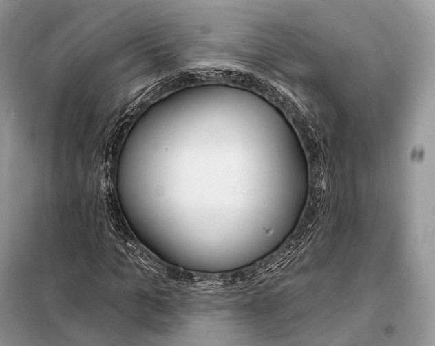 X0000098110965200805021129