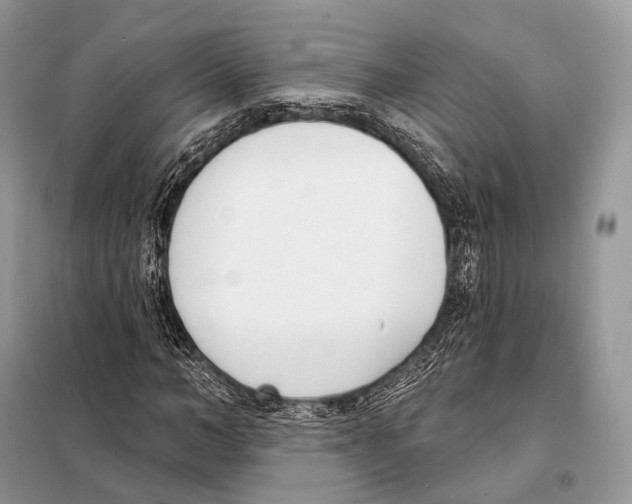 X0000098110966200805021129