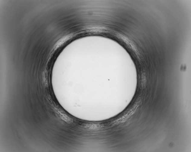 X0000098110970200805021129