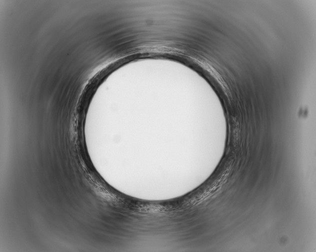 X0000098110971200805021129