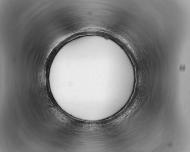 X0000098110973200805021129