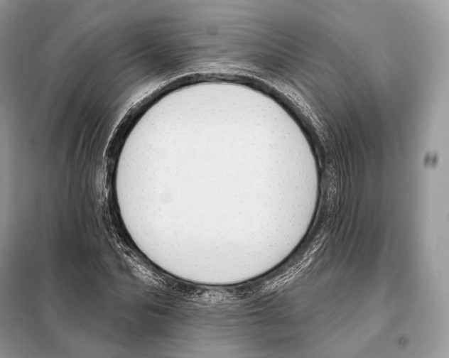 X0000098110974200805021129