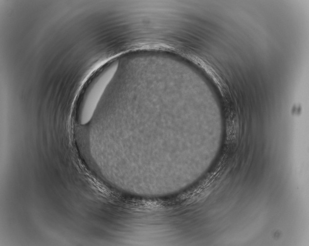 X0000098110975200805021129