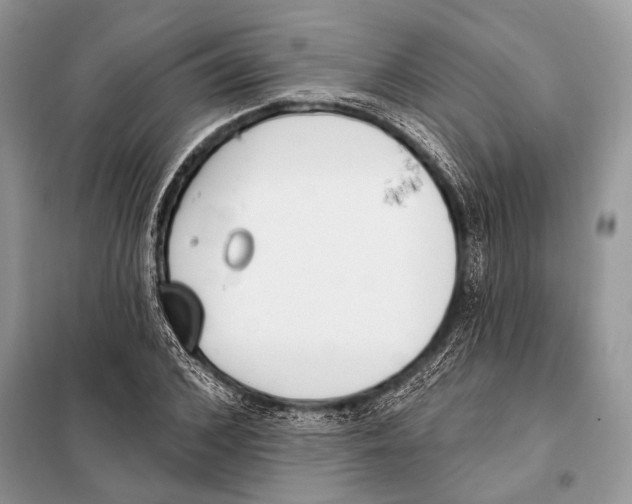 X0000098110976200805021129