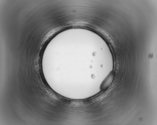 X0000098110978200805021129