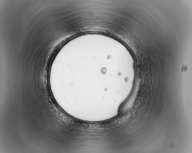 X0000098110979200805021129