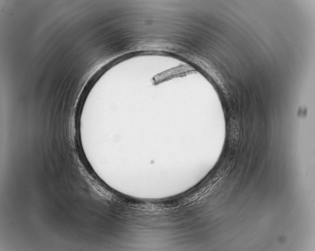 X0000098110980200805021129