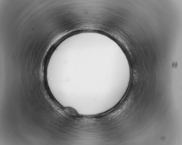 X0000098110981200805021129