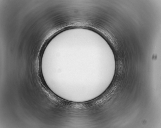 X0000098110982200805021129