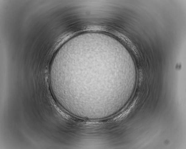 X0000098110985200805021129