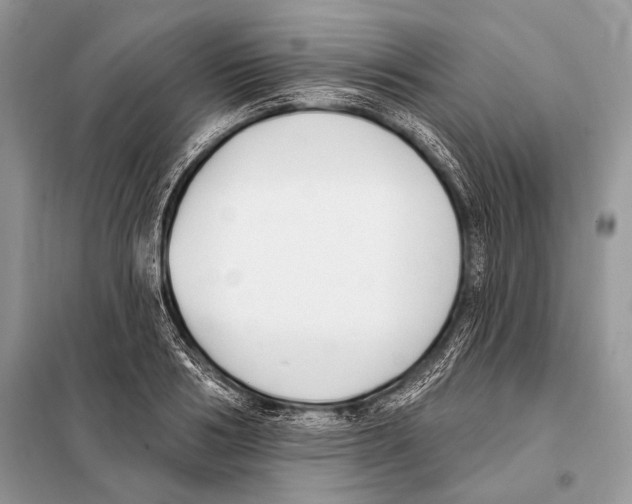 X0000098110986200805021129