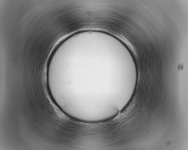 X0000098110988200805021129