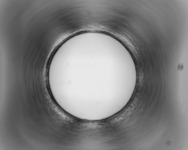 X0000098110990200805021129