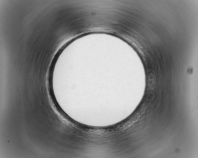 X0000098110991200805021129