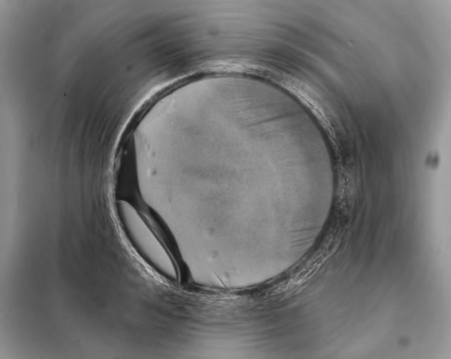 X0000098110992200805021129