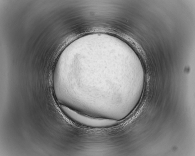 X0000098110993200805021129