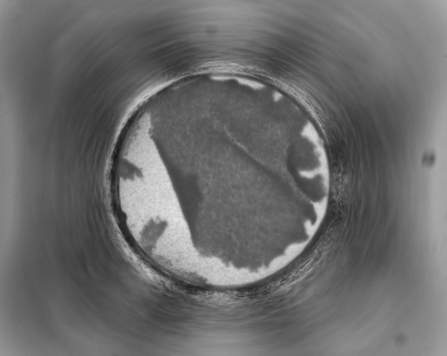 X0000098110995200805021129