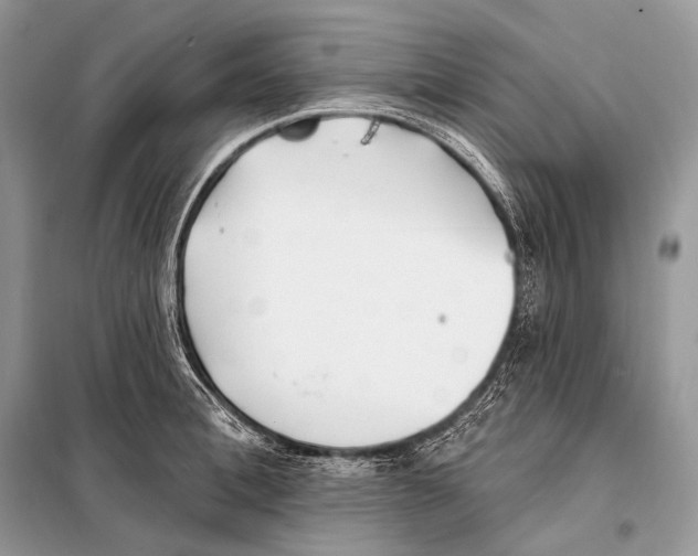 X0000098110996200805021129