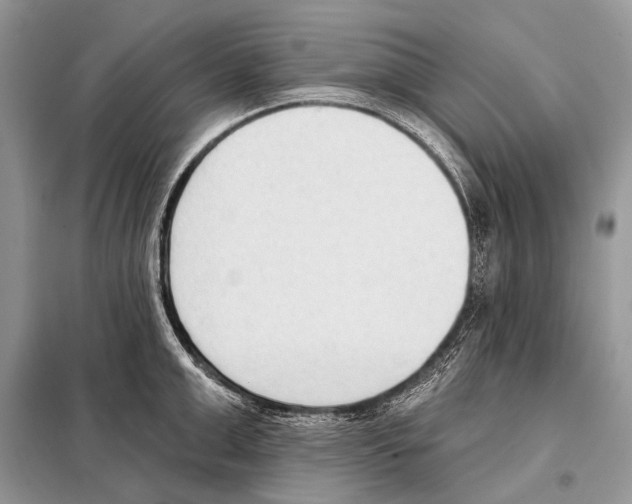 X0000098110999200805021129