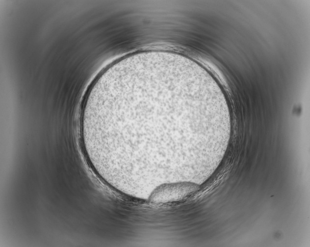 X0000098111000200805021129