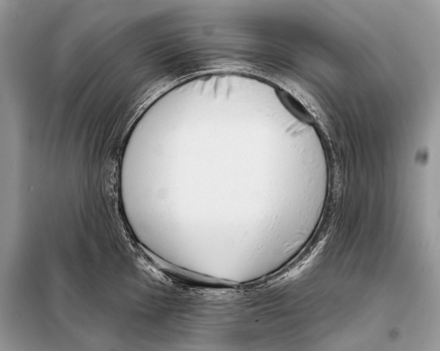 X0000098111001200805021129