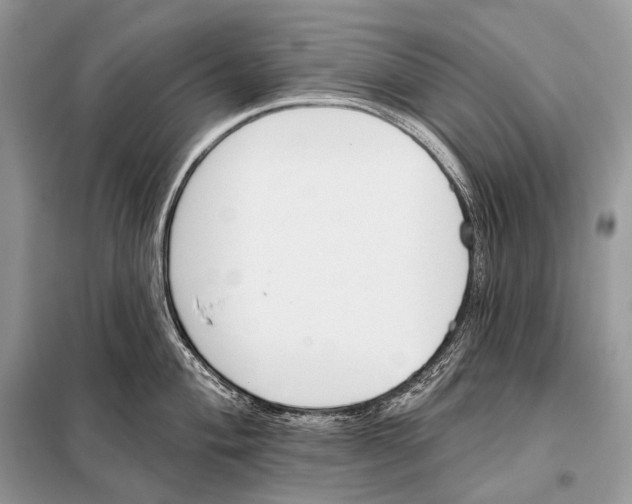 X0000098111004200805021129