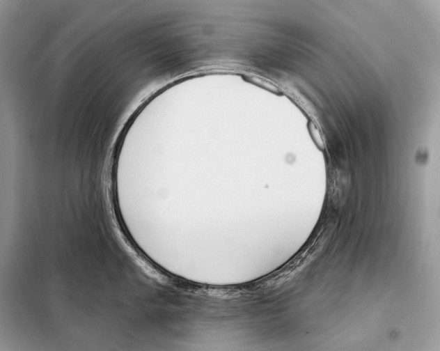 X0000098111005200805021129