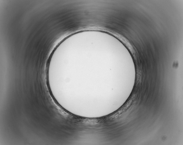 X0000098111006200805021128