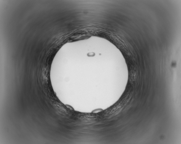 X0000098111010200805021128