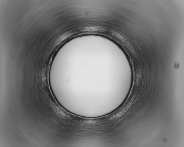 X0000098111017200805021128