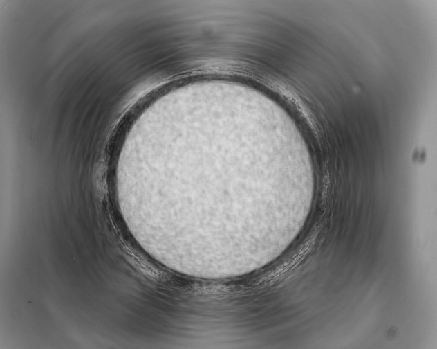 X0000098111019200805021128